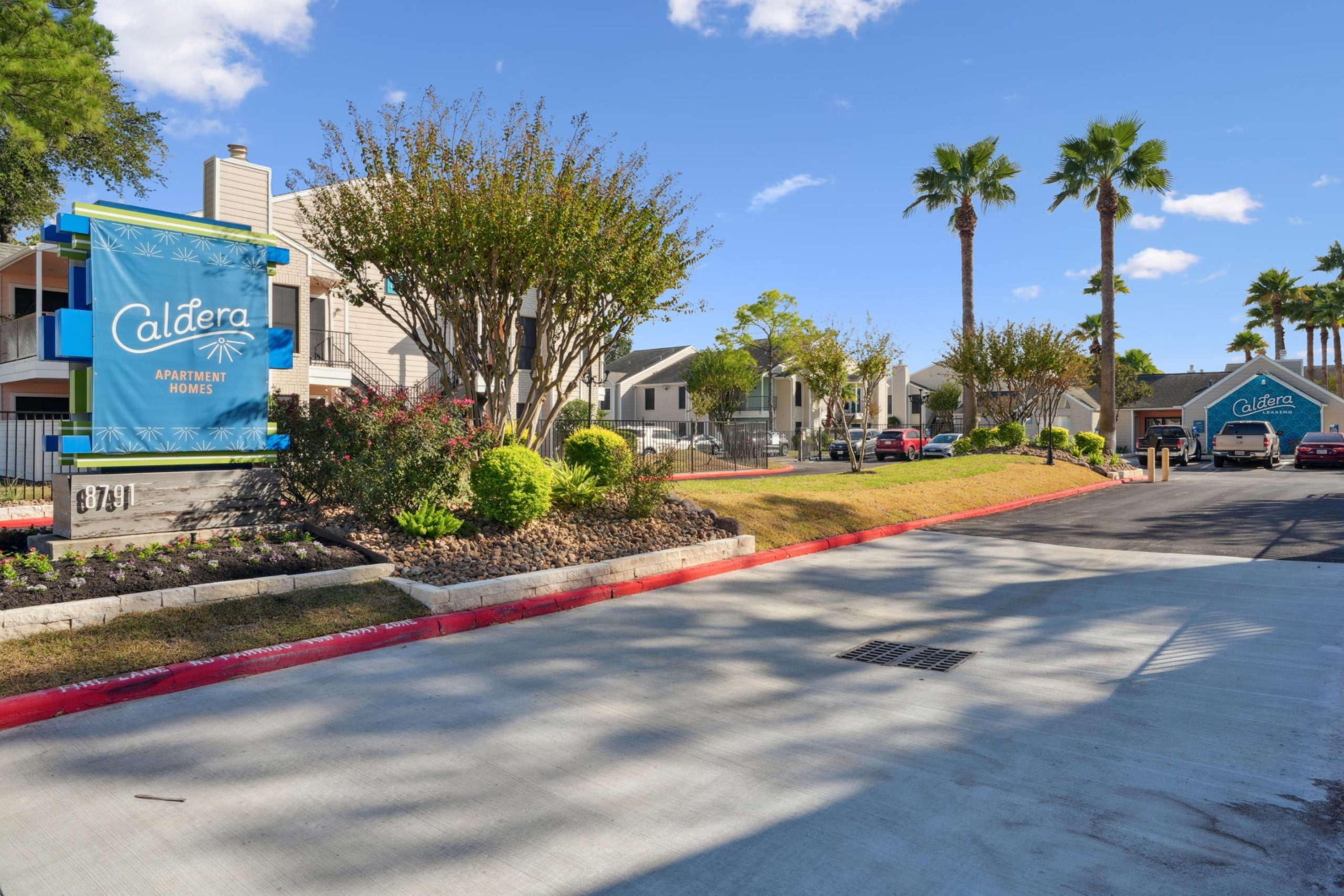a green and white street sign next to a palm tree